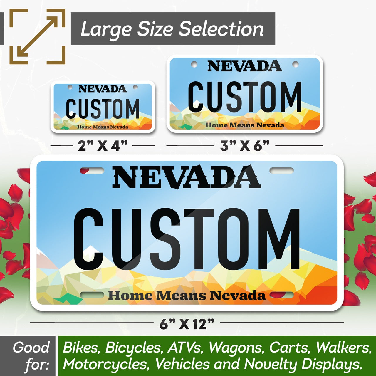 Custom State License Plate