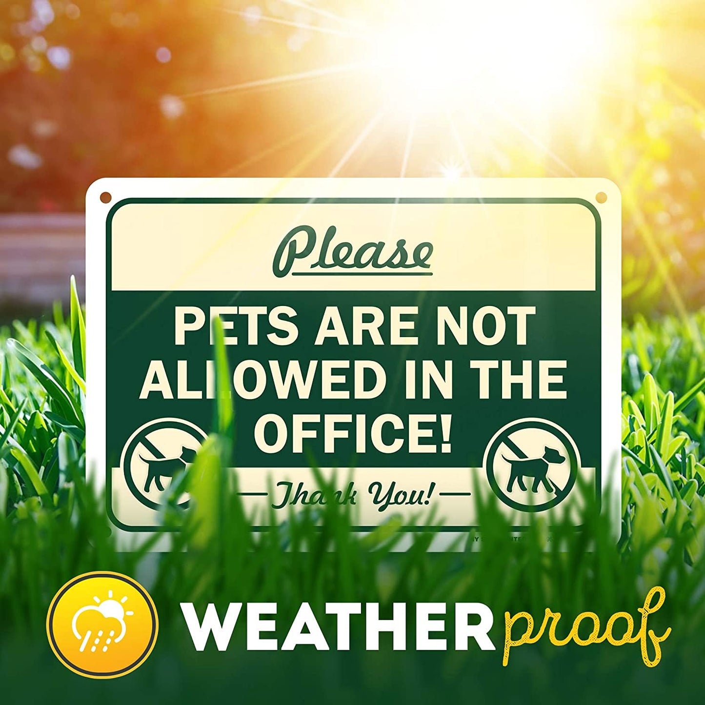 No Pets Allowed in The Office Sign