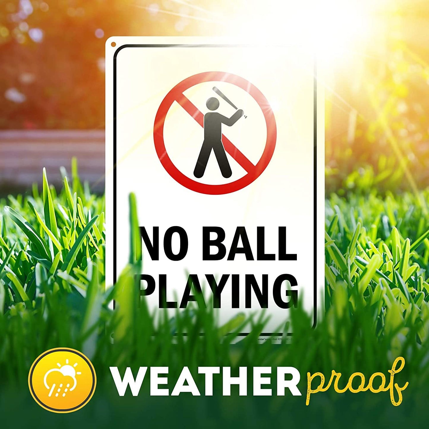No Ball Playing Sign Playground/ Sidewalk Sign