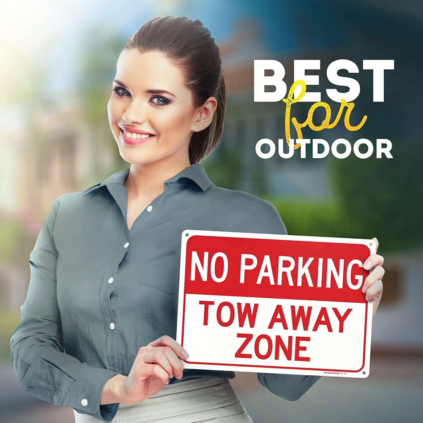No Parking Tow Away Zone Sign