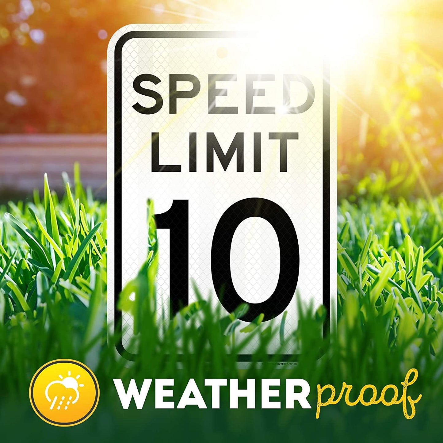 10 MPH Speed Limit Sign