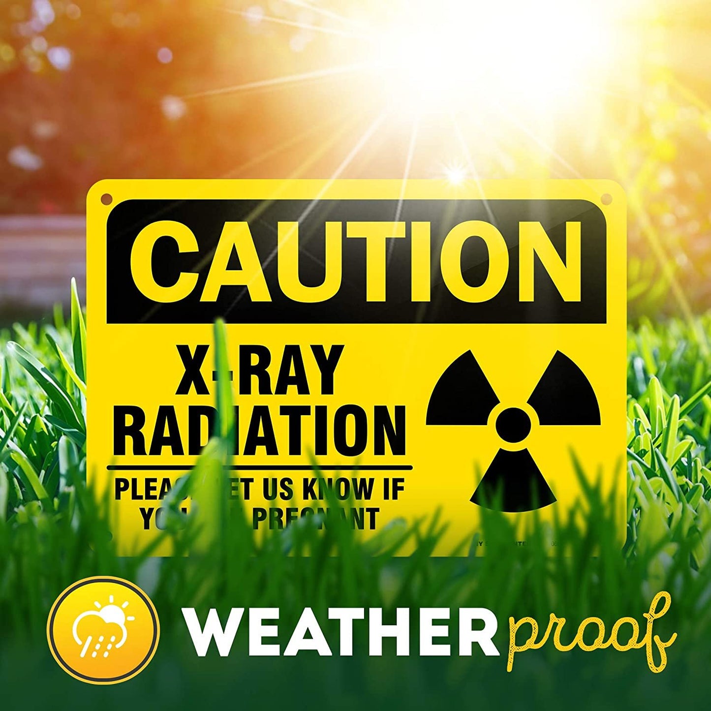 Caution X Ray Radiation Sign Please Inform If Pregnant