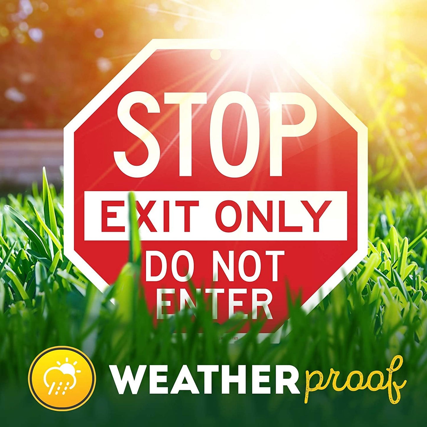 Stop Exit Only Do Not Enter Sign