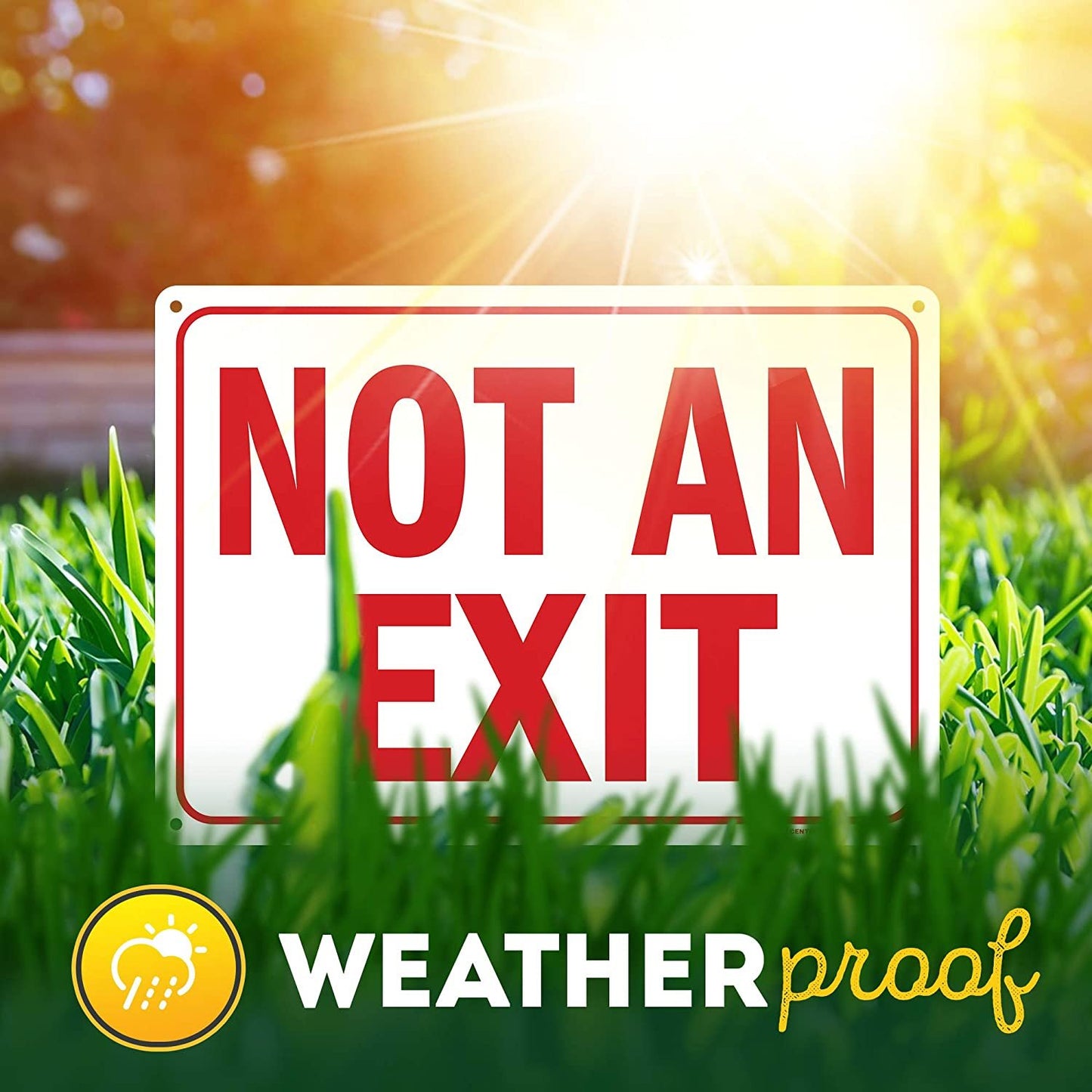 Not an Exit Sign
