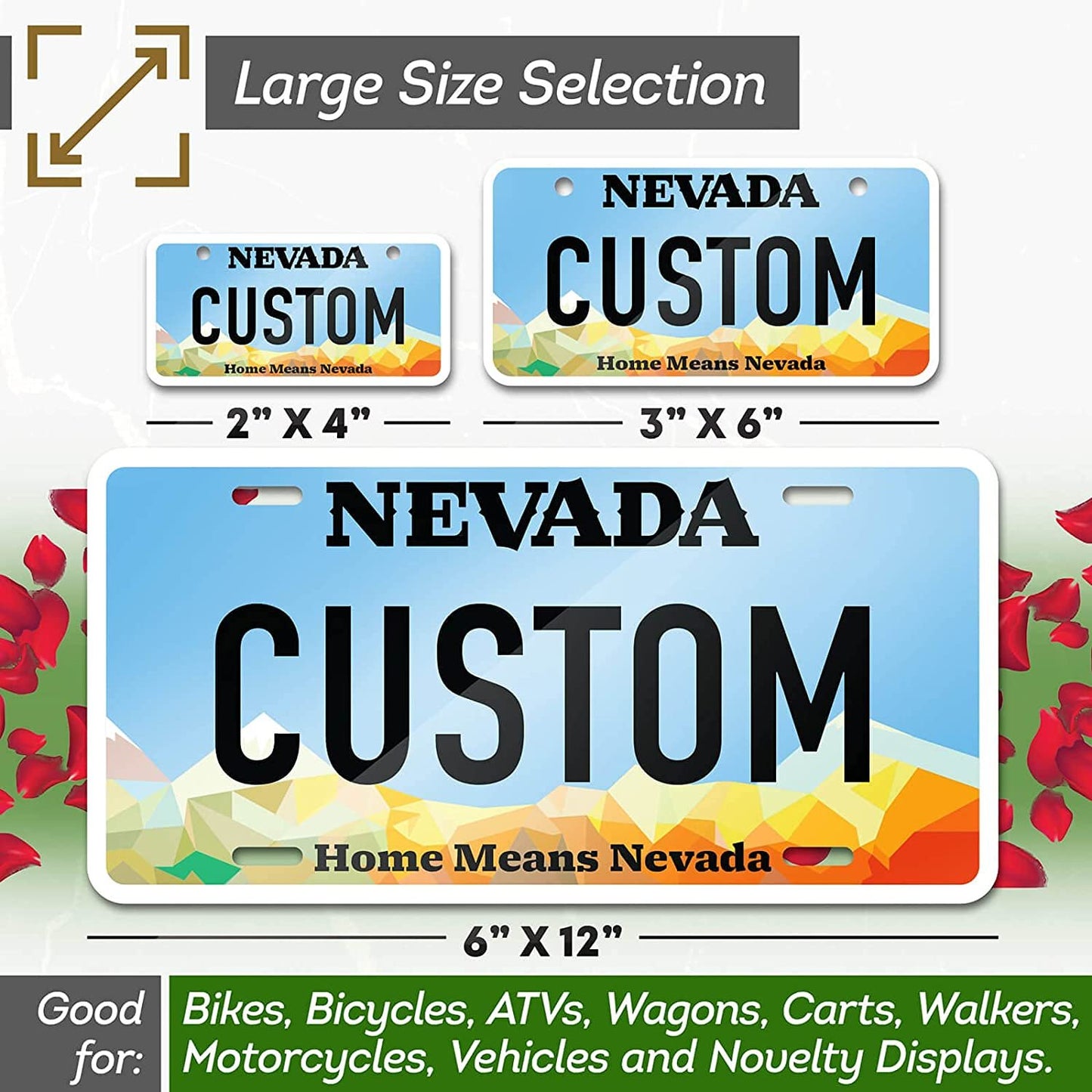 Personalized Custom License Plate for 50 Sate
