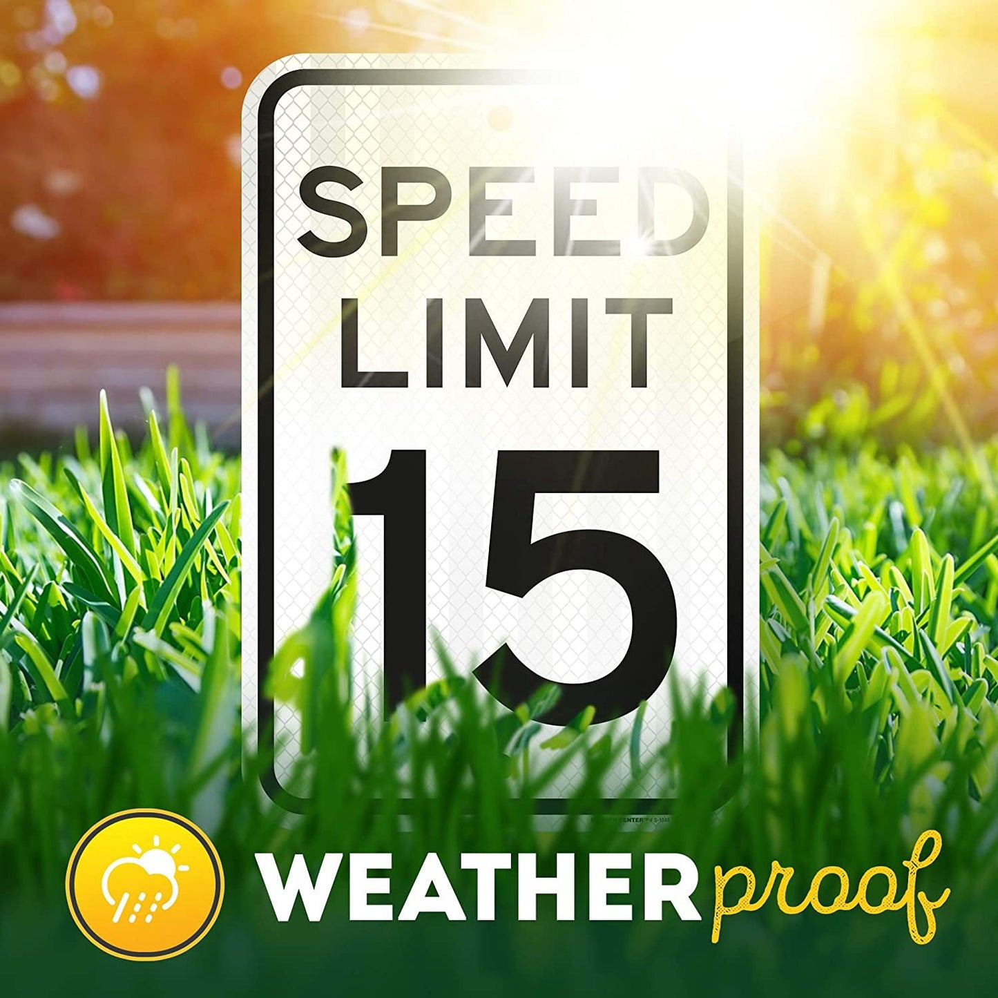 Speed Limit 15 MPH