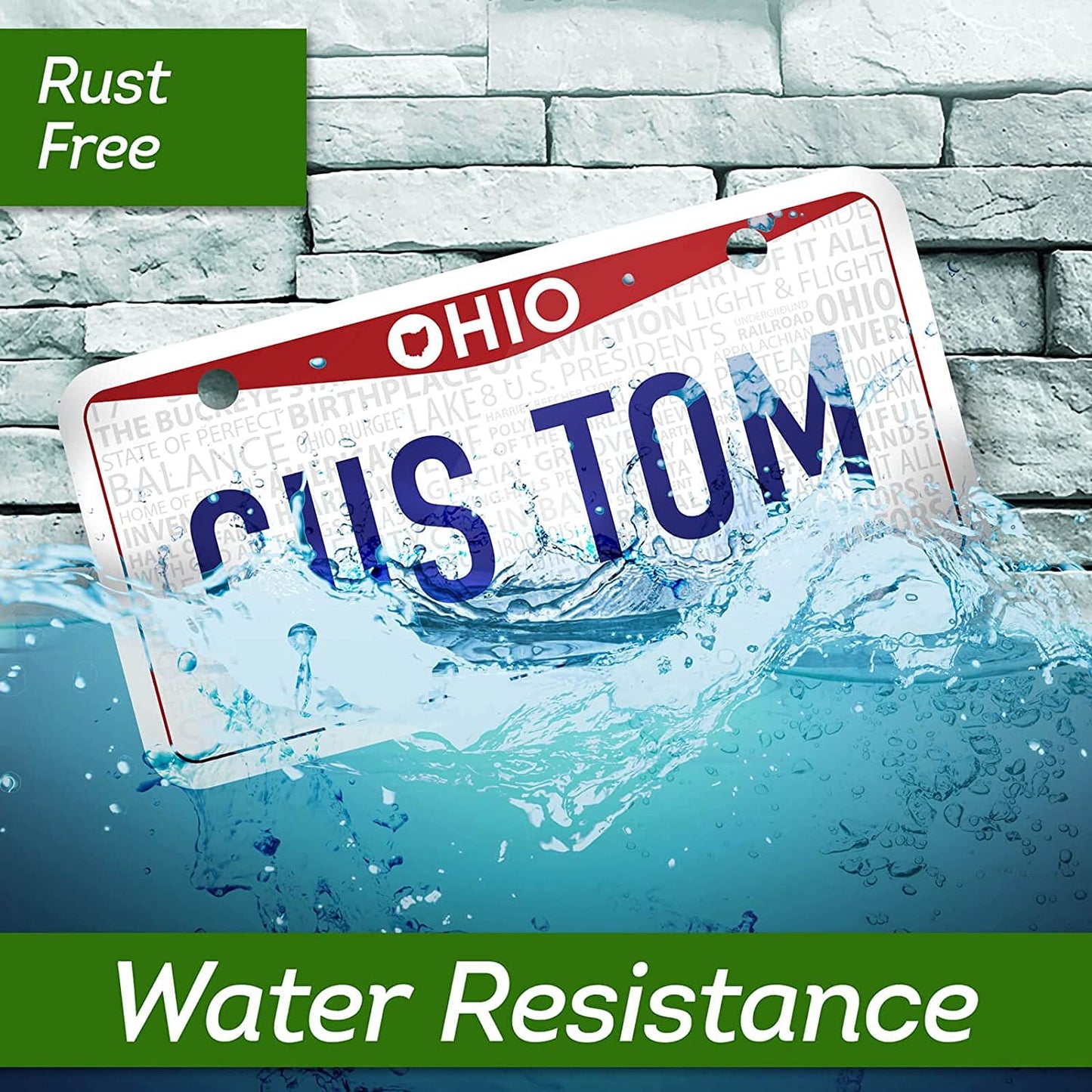 Personalized Custom License Plate for 50 Sate