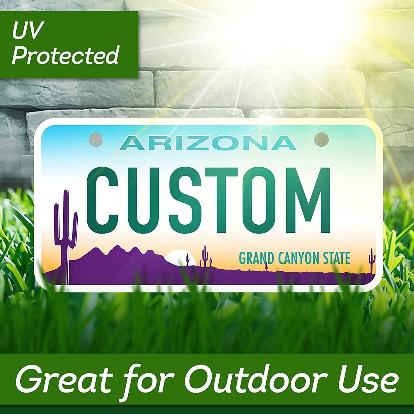 Personalized Custom License Plate for 50 Sate